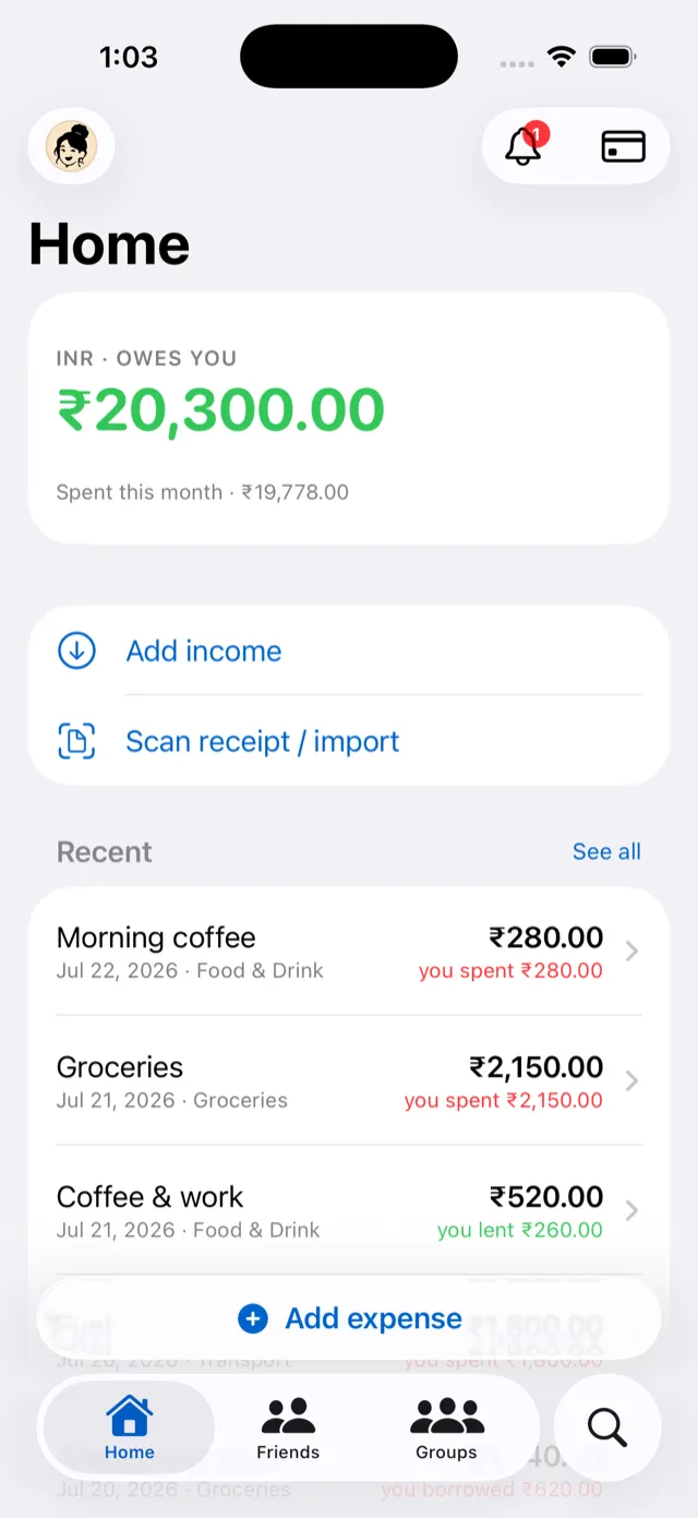 Expensease home screen resolving scattered spends into one clear balance of ₹20,300 owed to you